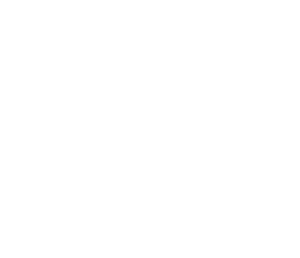 The Aesthetics Lounge